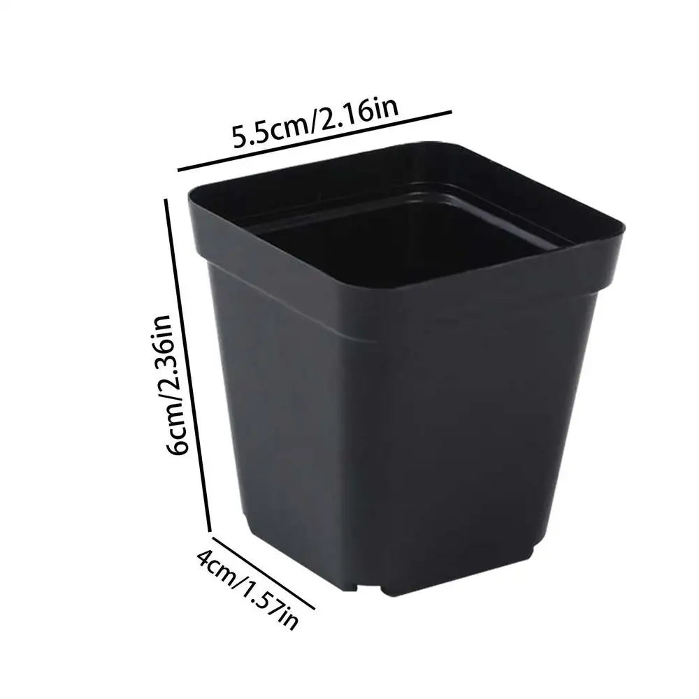 50pcs Starter Pots Plant Nursery Pots Seed Starting Pots Plastic Flower Plant Container Seedling Cups Square Black Seedling Pots Oasis Select 5.5cm