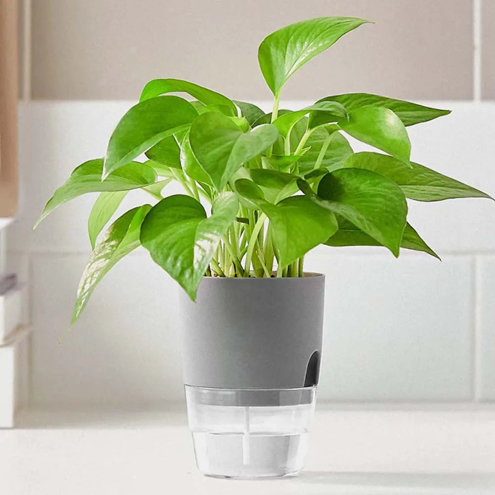 Indoor Table Purifying air Garden Supplies Green Dill Office Succulents Auto Irrigate Flower Pots Home Decor Plant Pot Planters Oasis Select
