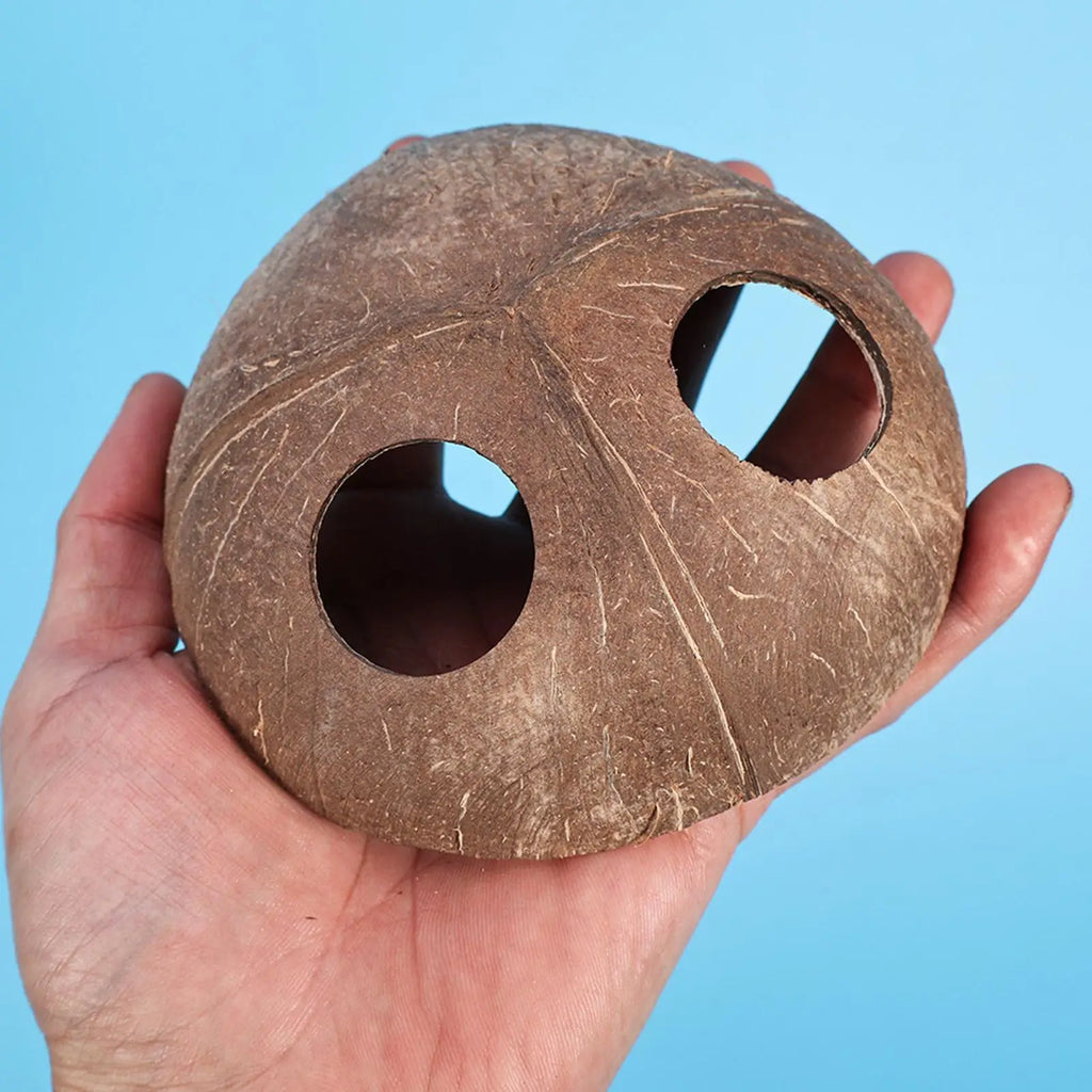 Natural Coconut Shell Reptile Hiding Cave – Turtle & Lizard Hide
