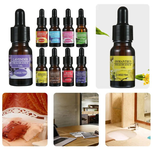 10ml Car Air Freshener Refill – Natural Essential Oil Dropper Car Air Freshener Oasis Select