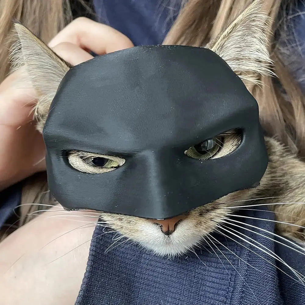 Bat Cat Half Face Mask | Halloween Cosplay Pet Costume