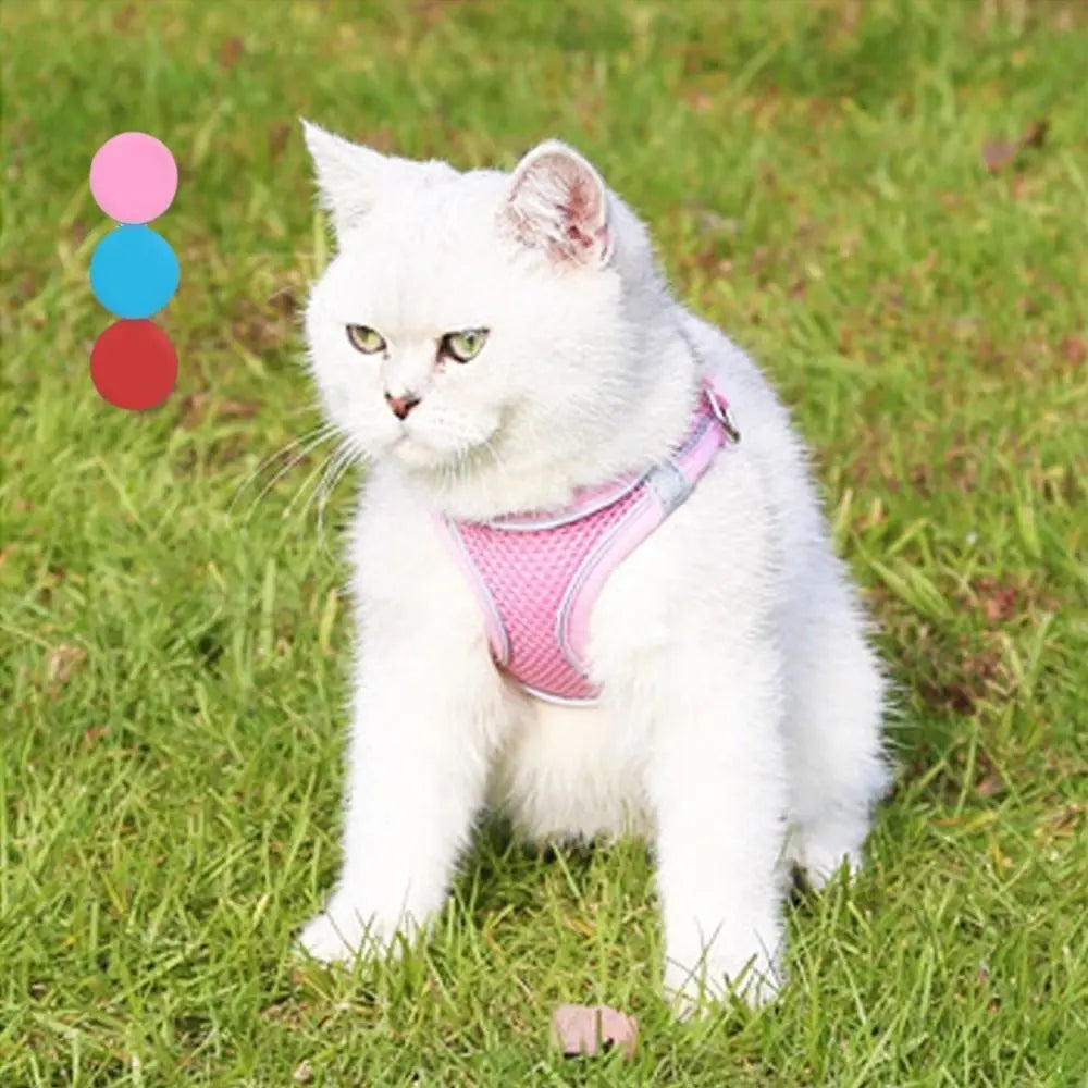 Adjustable Dog & Cat Harness Leash Set | Reflective, Escape-Proof