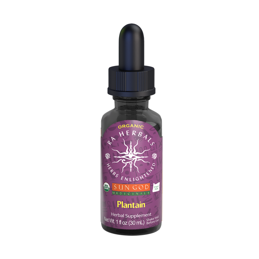 Organic Plantain Tincture | Ra Herbals Single-Herb Extract Herbal Tincture Oasis Select 1 oz.