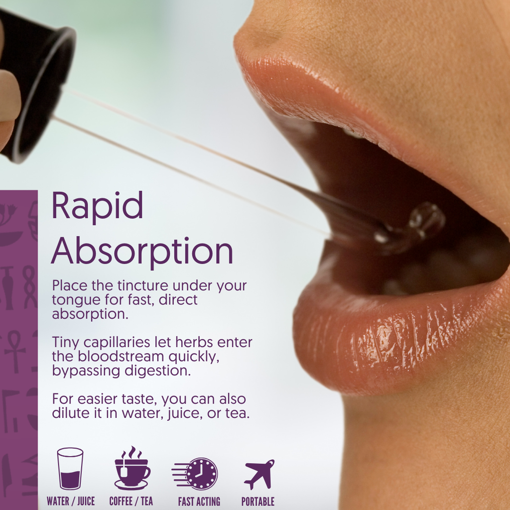 Organic Catnip Tincture | Ra Herbals Herbal Supplement Herbal Tincture Oasis Select