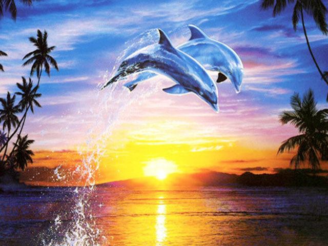 5D Diamond Painting Kit – Sunset Jumping Dolphins 40x50cm Diamond Painting Kit Oasis Select
