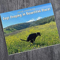 Funny Dog 2024 Wall Calendar – Humorous Pet Lover Gift Novelty Wall Calendar Oasis Select
