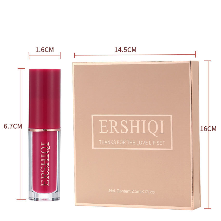 12-Piece Velvet Matte Moisturizing Lipstick Gift Set Lipstick Gift Set Oasis Select