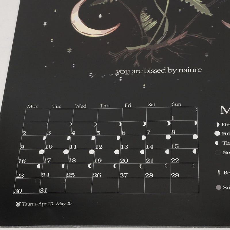 Dark Forest Lunar Animal Calendar – Illustrated Wall Calendar Illustrated Wall Calendar Oasis Select