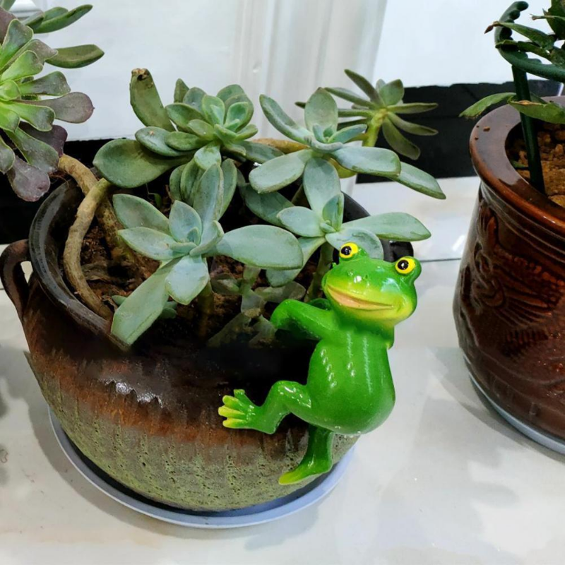 Resin Frog & Rabbit Garden Ornaments | Flower Pot Decor Garden Ornament Oasis Select