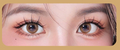 GlueFree™ Magnetic Lashes – Natural Look, Reusable Magnetic False Lashes Oasis Select