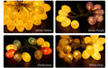 5m LED Cotton Egg String Lights – Party & Holiday Decor LED String Lights Oasis Select White purple 1.8M