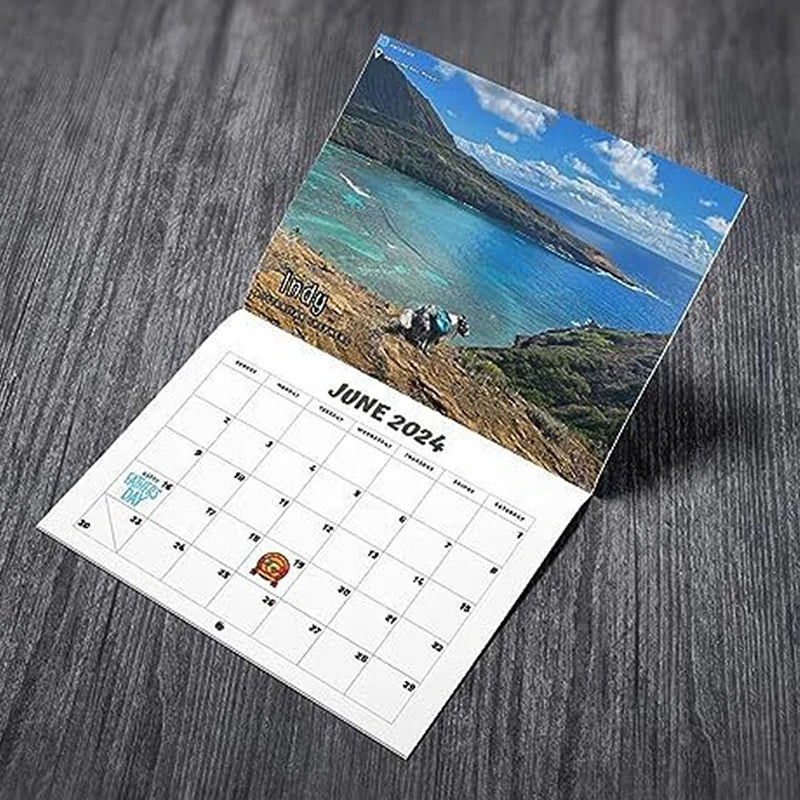 Funny Dog 2024 Wall Calendar – Humorous Pet Lover Gift Novelty Wall Calendar Oasis Select